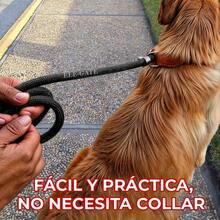 Correa Antideslizante Entrenamiento Sin Collar Mascota M - Negro - Ver 8