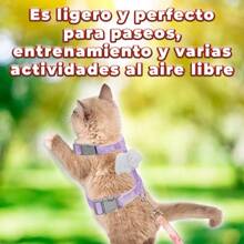 Correa Pechera Tela Ajustable Diseño Alas Mascotas Pequeñas - Rosa - Ver 6