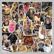 50pcs Monkey Theme Stickers, Cute Cartoon Monkey Stickers With Funny Poses And Expressions, Crazy Gorilla Sticker Pack, Decorative DIY Stickers For Notebook, Computer, Scrapbook, Luggage, Water Bottle, Phone, Etc. - Multicolor - View 7