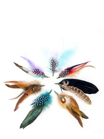 5pcs Vibrant Natural Assorted Feathers For DIY Craft, Fashion Fedora Hats, Western Cowboy Hats, Christmas Party Hats, Oktoberfest Hats - Add A Touch Of Elegance - Perfect For Crafting, Costume Design, And Fashion Accessories