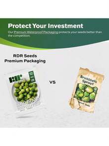 500 Brussel Sprout Seeds Planting - Heirloom Non-GMO USA Grown - Long Island Improved Variety - Cool Weather Vegetable Seeds Home Garden Planting By Seeds - 1 - 查看 4