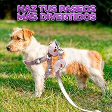 Correa Arnes Diseño Oso Resistente Broche Hebilla Metal - Gris - Ver 4