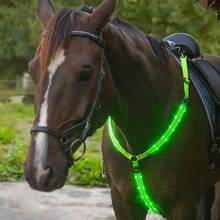 LED Light-Up Horse Breast Girth - Green Light - Equestrian Equipment For Horse Riding And Outdoor Sports