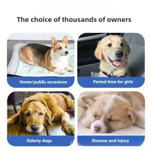 10/12 Toallas sanitarias para perros machos y hembras, pañales desechables súper absorbentes para perros - parches a prueba de fugas y cómodos, adecuados para cachorros, perros ancianos, incontinencia y recuperación postoperatoria, pañales para perros, pantalones de , pañales reutilizables para perras hembra talla XXL, pañales desechables para perras hembra durante el período, pañales para mascotas, pañales reutilizables para perros macho extra pequeños, pañales desechables para perras hembra