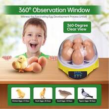 Egg Handling Supplies - US A Type Plug(110-127V) - View 8
