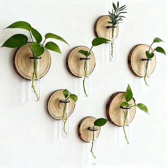 1/2/3/4/5/6件套 壁挂式木片试管水培花瓶，空气凤梨容器，多肉植物种植盆，适用于家居、办公室、花园、婚礼装饰