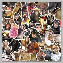 50pcs Monkey Theme Stickers, Cute Cartoon Monkey Stickers With Funny Poses And Expressions, Crazy Gorilla Sticker Pack, Decorative DIY Stickers For Notebook, Computer, Scrapbook, Luggage, Water Bottle, Phone, Etc. - Multicolor - View 4