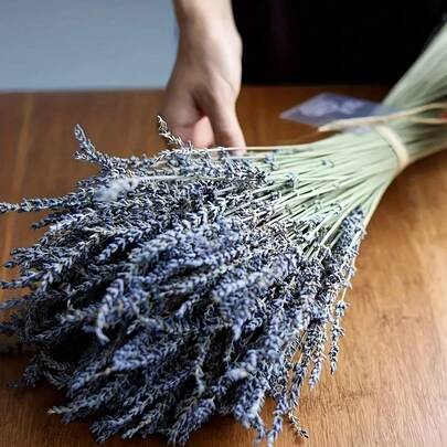 500朵天然干薰衣草花，香味持久，适合家居装饰，营造舒缓净化的氛围。