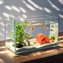 1个半圆形橙色塑料鱼洞，顶部和侧面入口设计，水族箱装饰，适用于斗鱼、斑马鱼、金鱼、灯鱼和其他小型鱼类，鱼儿躲藏处，水族箱装饰，艺术水族箱摆件，半圆形设计，轻便，耐用塑料材质，水族箱装饰，斑马鱼饲养者，斗鱼饲养者 - 彩色 - 查看 2