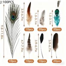 24 قطعة/30 قطعة/40 قطعة/48 قطعة/50 قطعة خليط من الريش المناسب لأعمال الحرف اليدوية والزفاف وديكورات الحفلات - أنماط فريدة، 4-12 بوصة، ألوان زاهية ناعمة، رائع لديكور المنزل ومشاريع الفن والمناسبات الخاصة