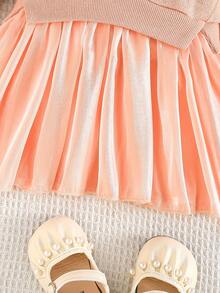 Baby Girls' Autumn Dress, Round Neck, Heart Pattern Chest, Mesh Hem, Long Sleeve - Pink - View 6