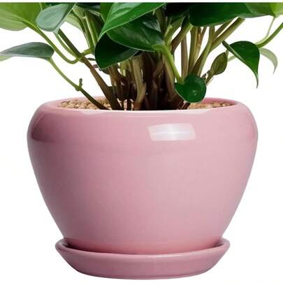 Ceramic Modern Glaze Succulent Planter Pot With Drainage Hole And Saucer 6 Inch Round Flower Plant Pot For Indoor Outdoor Herb Snake Plants