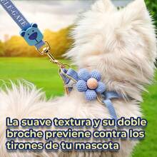 Pet Slip & Martingale Collars - 藍色 - 查看 7