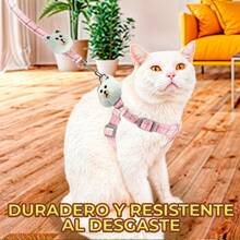 Correa Arnes Diseño Oso Resistente Broche Hebilla Metal - Rosa - Ver 7