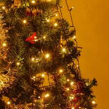 200/280/300 LED 1,5/2/3 metri ghirlande luminoase colorate, lumini rotunde pentru coroane, lumini cascadă suspendate, potrivite pentru curte, grădină, gazon, acoperiș, interior, decor de Crăciun, brad de Crăciun, Ziua Recunoștinței, nuntă, ziua de naștere, petrecere, decorațiuni de Halloween