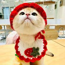 1pc Handmade Pet Knitted Hat, Cute Dress-Up Hat, Party Decoration, Strawberry Hat, Cat Supplies, Dog Headband, Suitable For Photos