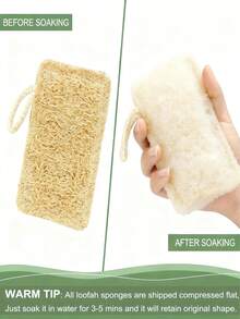 6件套天然丝瓜络套装 - 温和去角质，清洁肌肤，男女皆宜，可用于淋浴、泡澡、SPA、去除污渍或厨房清洁