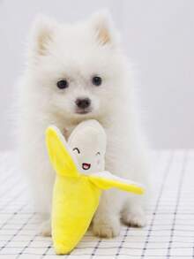 1 đồ chơi nhồi bông hình quả chuối hoạt hình mèo cưng, đồ chơi chuối dễ thương chống cắn cho chó, quà tặng nhồi bông hoàn hảo để đi cùng thú cưng - Màu vàng - Xem 4