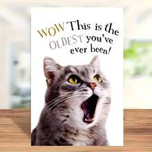 Cute Pet Style Birthday Card Grey Cat Exaggerated Expression "You're Another Year Old" Fun Age Joke Birthday Creative Card Blessing Card Birthday Gift, Gift For Family And Friends, Thank You Card With Envelope, Birthday Greetings Card, Blessing Fun Card, Blank Card
