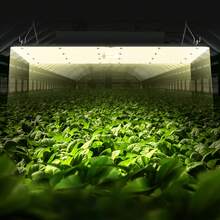 Growing Lamps - Black - View 1