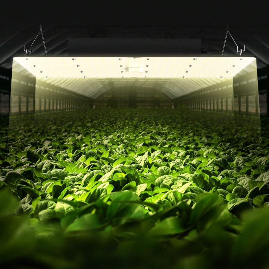 Growing Lamps - Black - View 1