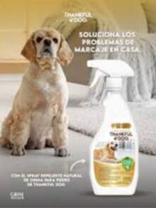 Pet Stain & Odor Removers - White - View 3