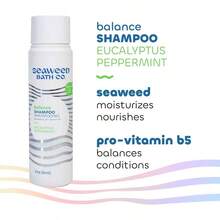 Co. Balancing Shampoo, Eucalyptus and Peppermint, Natural Organic Bladderwrack, Vegan and Paraben, 12oz - Equilibrio entre eucalipto y menta - Ver 6