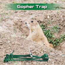 4 Pcs Stainless Steel Gopher Mole Vole Trap - With Chain, Weather Resistant, Outdoor Lawn Garden Farm Use (Green) - 綠色 - 查看 6