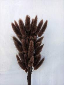 60/120 件天然干花装饰、干兔尾草、干蒲苇，适用于家居装饰、婚礼装饰、派对装饰、DIY 工艺品、道具拍摄、主题装饰 | 万圣节、圣诞节、17.7 英寸（红色）、圣诞装饰、圣诞礼物、卧室装饰、礼物、圣诞礼物、干花、花束、花朵、人造花装饰 - 褐色 - 查看 9