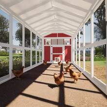 Walk-In  Plans 24 Chickens - Chicken Shed Printed Plans - 1 - 查看 3