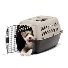Vari Dog Kennel - Portable Dog Carriers &Amp; Crates For Small Dogs, Airline-Friendly, Durable Plastic, Pet Carrier Fo... - Taupe 24 - View 9