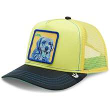 Goorin Bros Gorra 101-1037-YEL dla kobiet i mężczyzn w kolorze Multicolor - Wielokolorowe - Zobacz 1