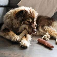 Outward Hound Dogwood Wood Durable Dog Chew Toys, Real Wood & Calming Hemp, 2-Pack, Medium - Cây sơn thù du và cây mesquite (gói 2 cây) - Xem 9