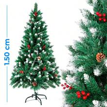 Christmas Trees - Fes.13.1.5metros - View 2