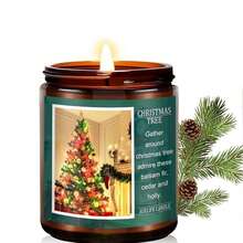 4 tipos de bloques de cera perfumada (6.8 oz), cubos de calentador de cera surtidos, bloques de cera de aceite esencial vegetal para aromaterapia, derretidos de cera perfumada de soja para calentadores de cera, decoraciones navideñas, regalos de Navidad