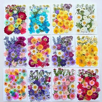 1 Pack Dried Flowers For Resin Crafting, Pressed Real Flower & Leaves Assorted Natural Herbs Set, Suitable For Scrapbooking DIY Art & Crafts, Epoxy Resin Mold Filler Decor