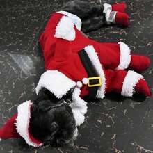 4pcs/Set Pet Warm Thermal Lined Indoor/Outdoor Adjustable Reflective Soft Bottom Non-Slip Shoes, Suitable For Small Dogs Like Pomeranian, Chihuahua Puppies - Multicolor - View 9