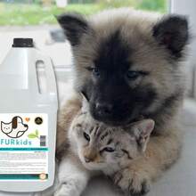 Spray Sanitizante Desinfectante y Desodorizante para Mascotas. Elimina Virus y Bacterias en Patas y Pelaje. Uso Diario Dura más de 24 Horas. Libre de Alcohol. 3.78 l - 378 litros - Ver 7