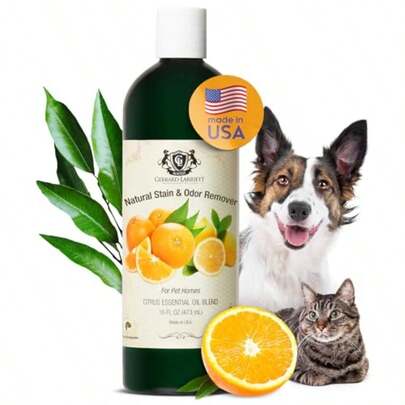 Natural Stain and Odor Remover for Pet Homes 16 FL OZ 473 mL