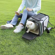 1 Stück Tragbarer Katzen-träger - Haustier-tragebeutel, Handtasche-haustierträger, Haustierrucksack, Leichter Faltbarer Atmungsaktiver Haustier-Rucksack für Katzen und Kleine Hunde Tragbare Transporttasche, Transportbox Hundetragetasche Katzentragetasche - Grau - Übersicht 10