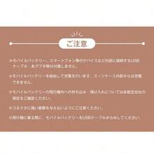 スーツケース MSサイズ フロントオープン 機内持ち込み キャリーバッグ USBポート付き ドリンクホルダー付き かわいい ストッパー付き ダブルキャスター 軽量 静か 女性 頑丈 海外 4日〜7日用 小型 おしゃれ - グレー + ABS1 - チェックする 7