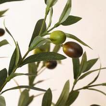 Dragonpad Artificial Olive Tree 4/5/6 FT Tall Faux Silk Olive Trees For Home Office Living Room Decor Indoor Fake Potted Tree With Natural Wood Trunk And Lifelike Fruits - 6英尺-2件 - 查看 3