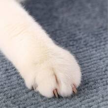 Arranhador de Gato Carpete Adesivo Flexível BRINQUEDO INTERATIVO PARA GATOS PET ANTI STRESS ENRIQUECIMENTO AMBIENTAL - Cinza - Visão 6
