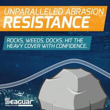 Seaguar AbrazX Freshwater Abrasion Resistant Fluorocarbon Fishing Line For Docks Rocks Weeds And Logs - Multiple Sizes - Clear - 查看 6