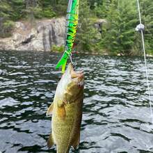 1pc 13.5cm 19g Sinking Multi-Jointed Fishing Lure, Bait For Trout, Bass, Saltwater Fishing, Realistic Swimbait Design, High-Quality Swimbait, Fishing Bait And Lures, Saltwater Fishing Lures, Swimbaits, Cool Fishing Lures, Soft Bait Fishing Lures - Multicolor - View 9