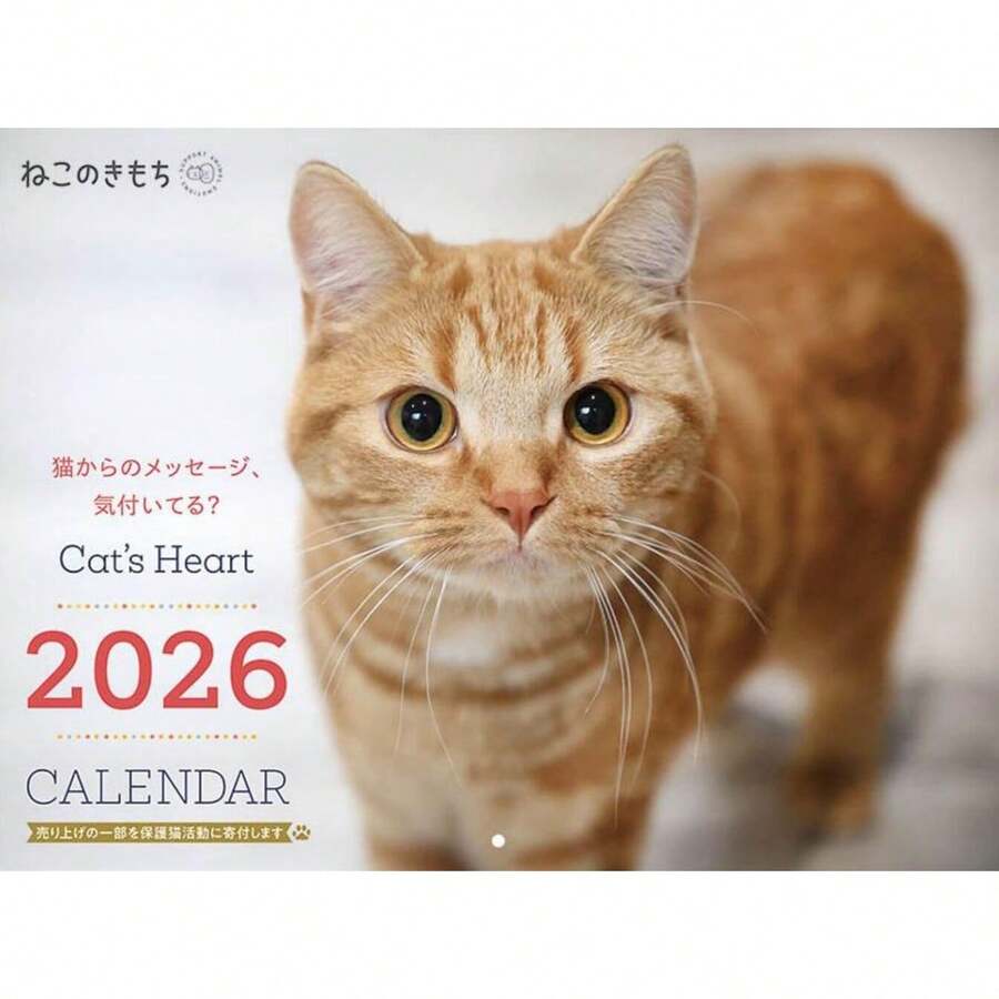Calendars - 1 - View 1