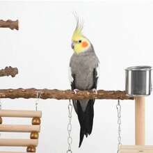 Plataforma de madera de pimienta para loros, red de escalada para loros, estación de entrenamiento de escalada, escalera de escalada, puente colgante de juguete para pájaros - Negro - Ver 6