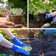 4 Inch Clear Nursery Pots 8 Pack Highly Transparent Plant Pots For Small Indoor Plants With Drainage Holes And Trays Plastic Seedling Starter Planters For Flowers - 3 inch 30 miếng - Xem 4