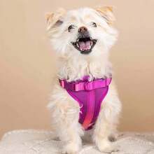 PVC防水狗狗胸背带及牵引绳套装，舒适胸带，适合小型犬 - 彩色 - 查看 10
