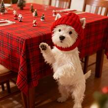 1pc Festive Red Knitted Beanie Hat, Warm Ear-Exposed Winter Hat For Outdoor & Indoor Use, Soft & Elastic Dog Knitted Hat Suitable For Small/Medium Pets, Comfortable Pet Winter Headwear - Warm Pet Apparel Accessory, Christmas/Holiday Gift For Dog Lovers, Dog Party Hat, Winter Dog Hat, Pet Winter Hat, Cat Hat - Multicolor - View 8